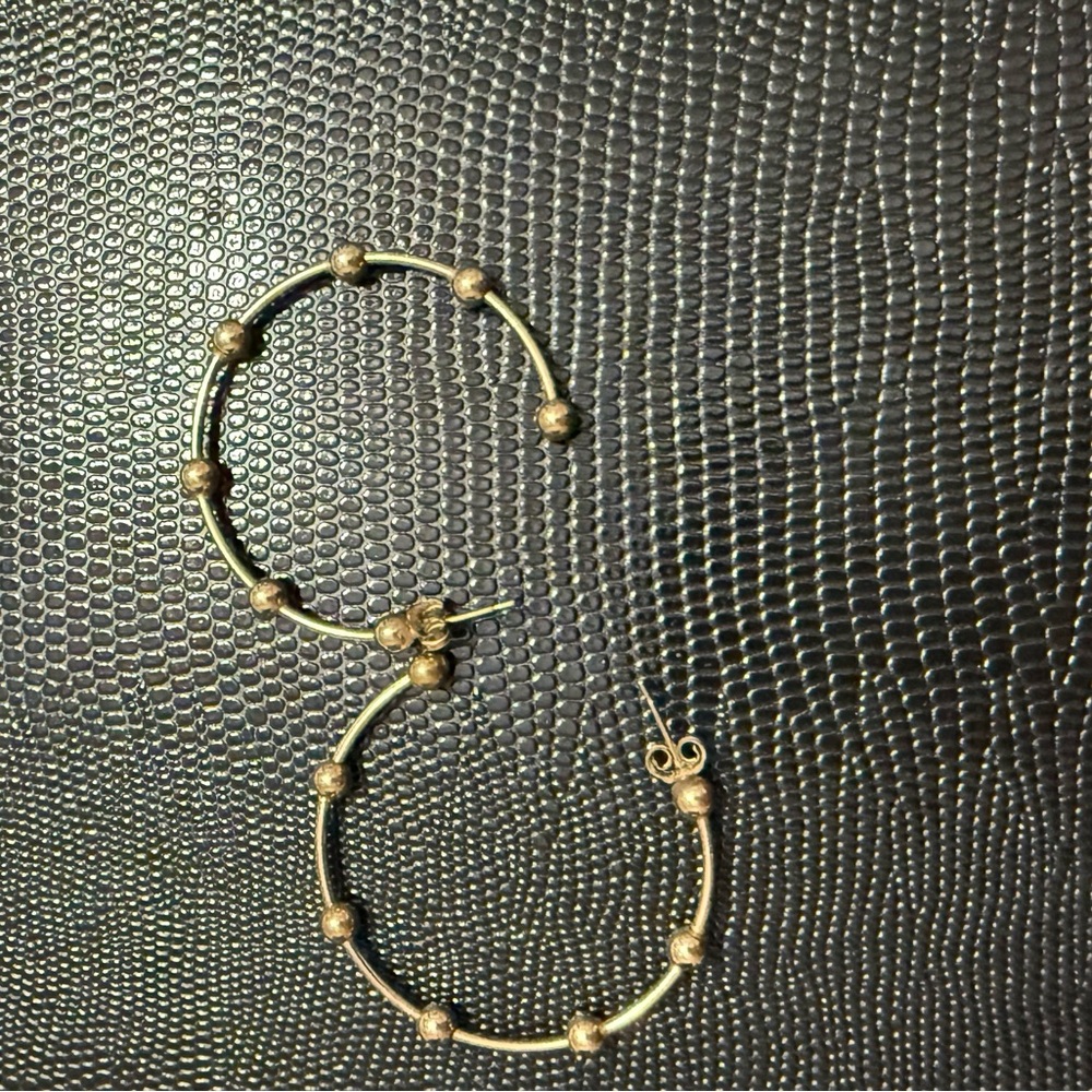 Elegant Enewton Gold Hoop Earrings